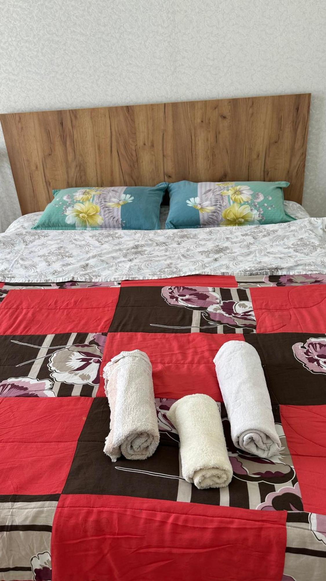 Central Apartment בישקק מראה חיצוני תמונה